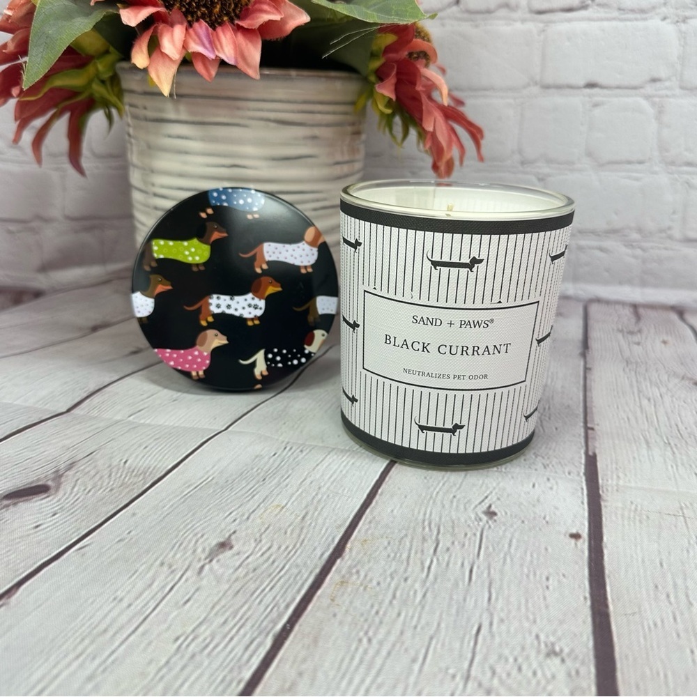 NWT sand + paws Black Currant single wick Candle with Dachshund Design